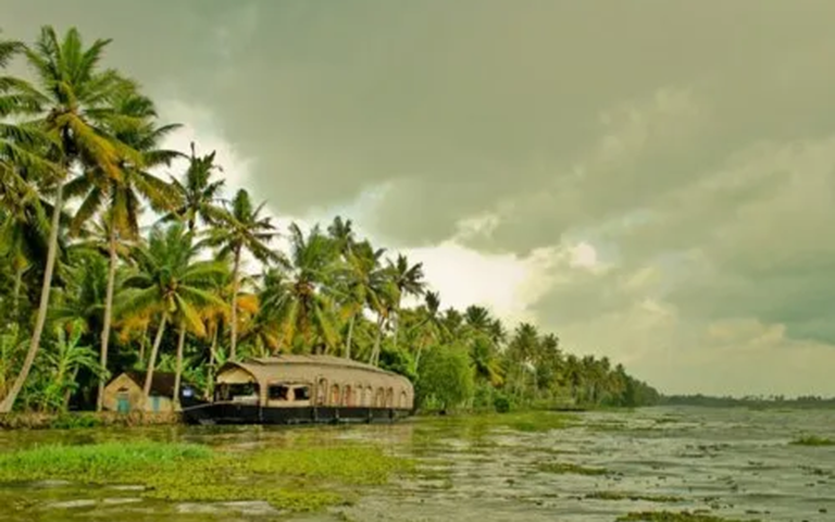 Serene Kerala Backwaters