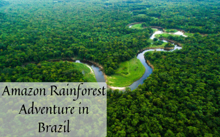 Amazon Rainforest Adventure in Brazil
