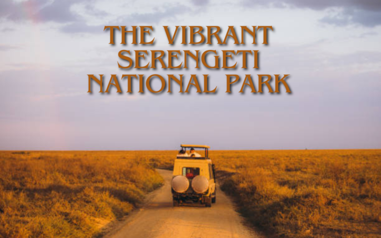 The Vibrant Serengeti National Park, Tanzania